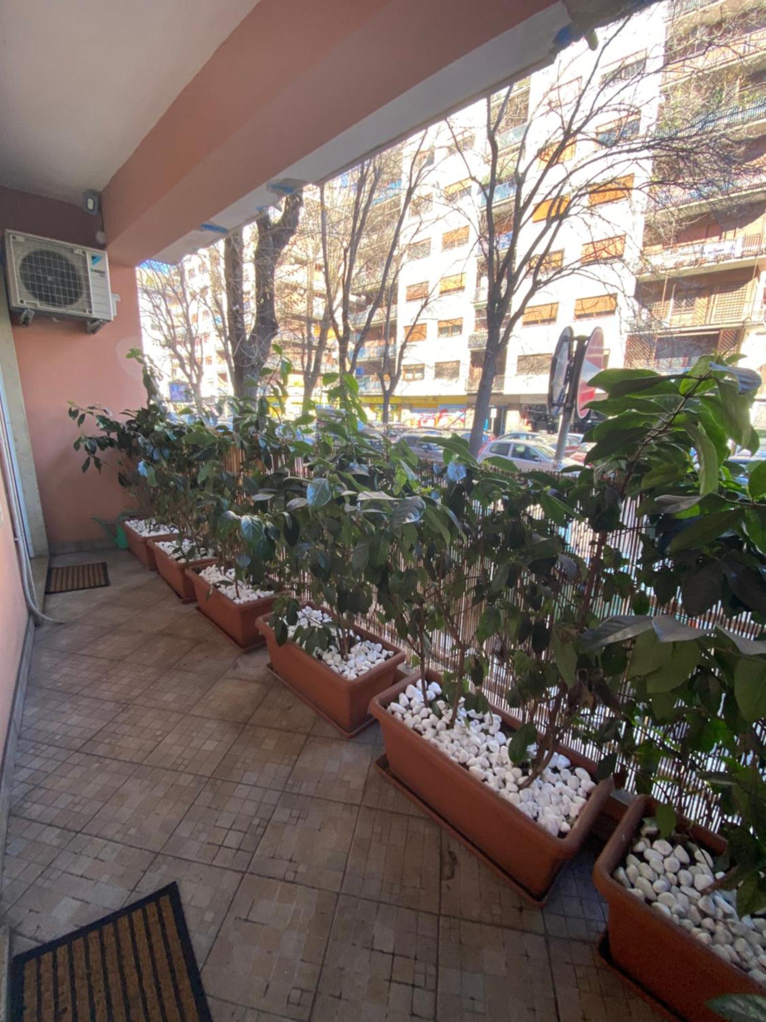 Pattoluxurysuite A Quartiere Trieste - Vicino Metro B1 Lägenhet Rom